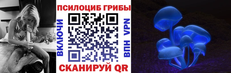Галлюциногенные грибы ЛСД  Светлоград 